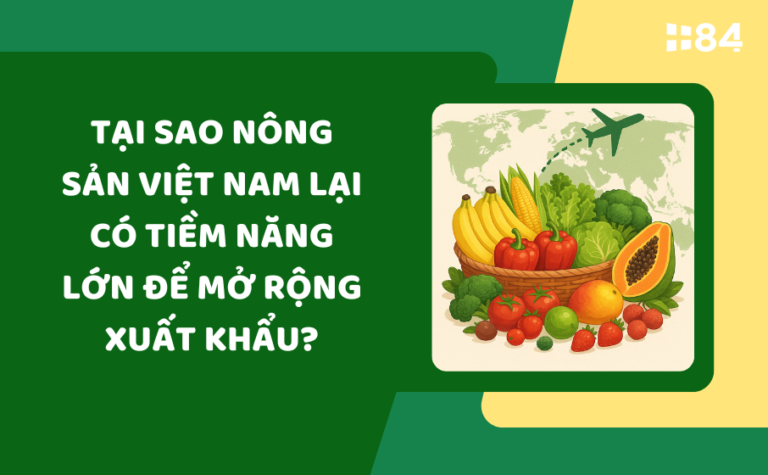 Tại sao nông sản Việt Nam lại có tiềm năng lớn để mở rộng xuất khẩu