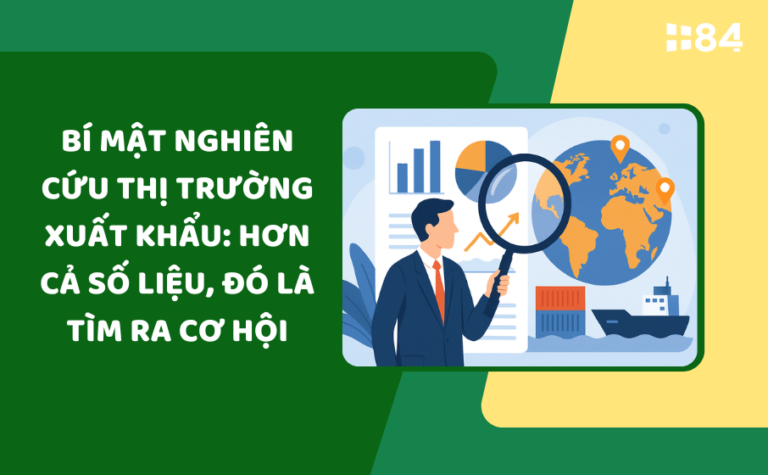Bí mật nghiên cứu thị trường xuất khẩu: Hơn cả số liệu, đó là tìm ra cơ hội